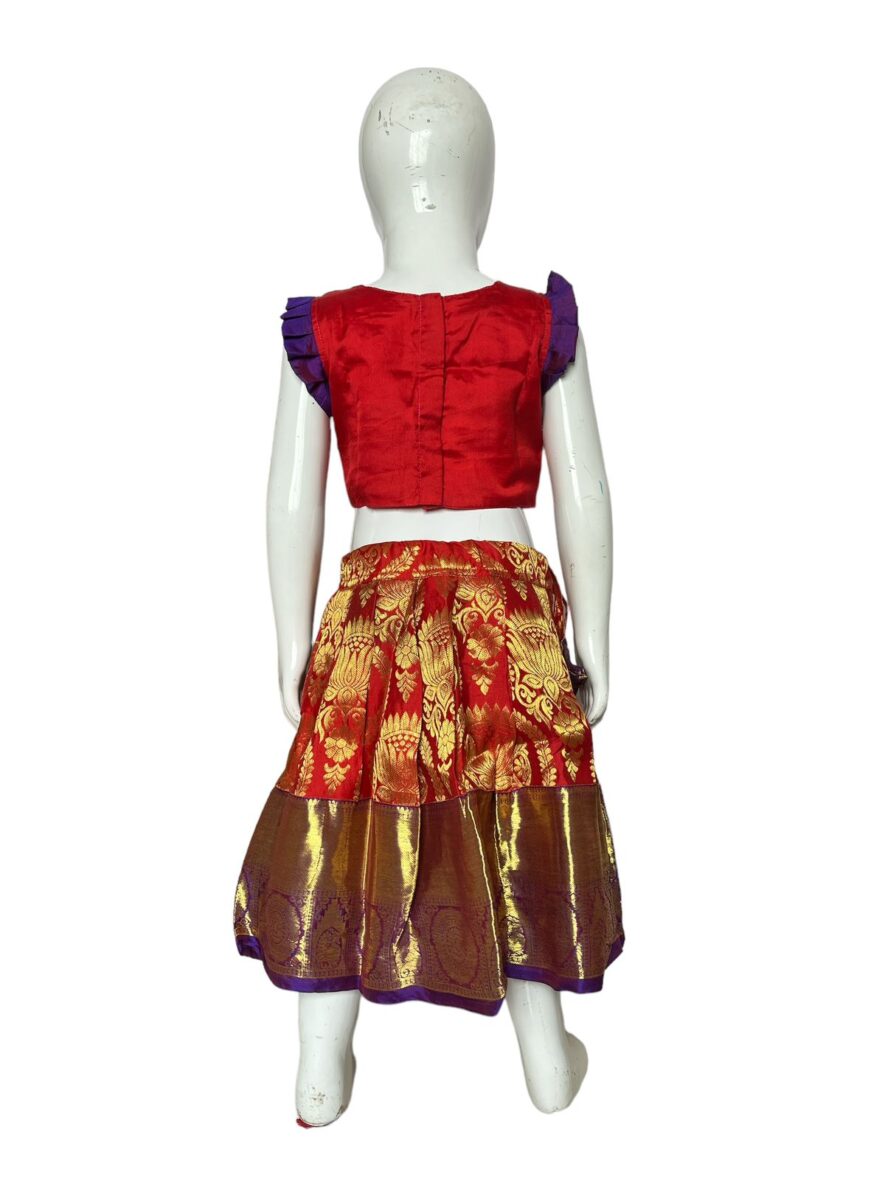 Ghagra-Choli-RBLU-2