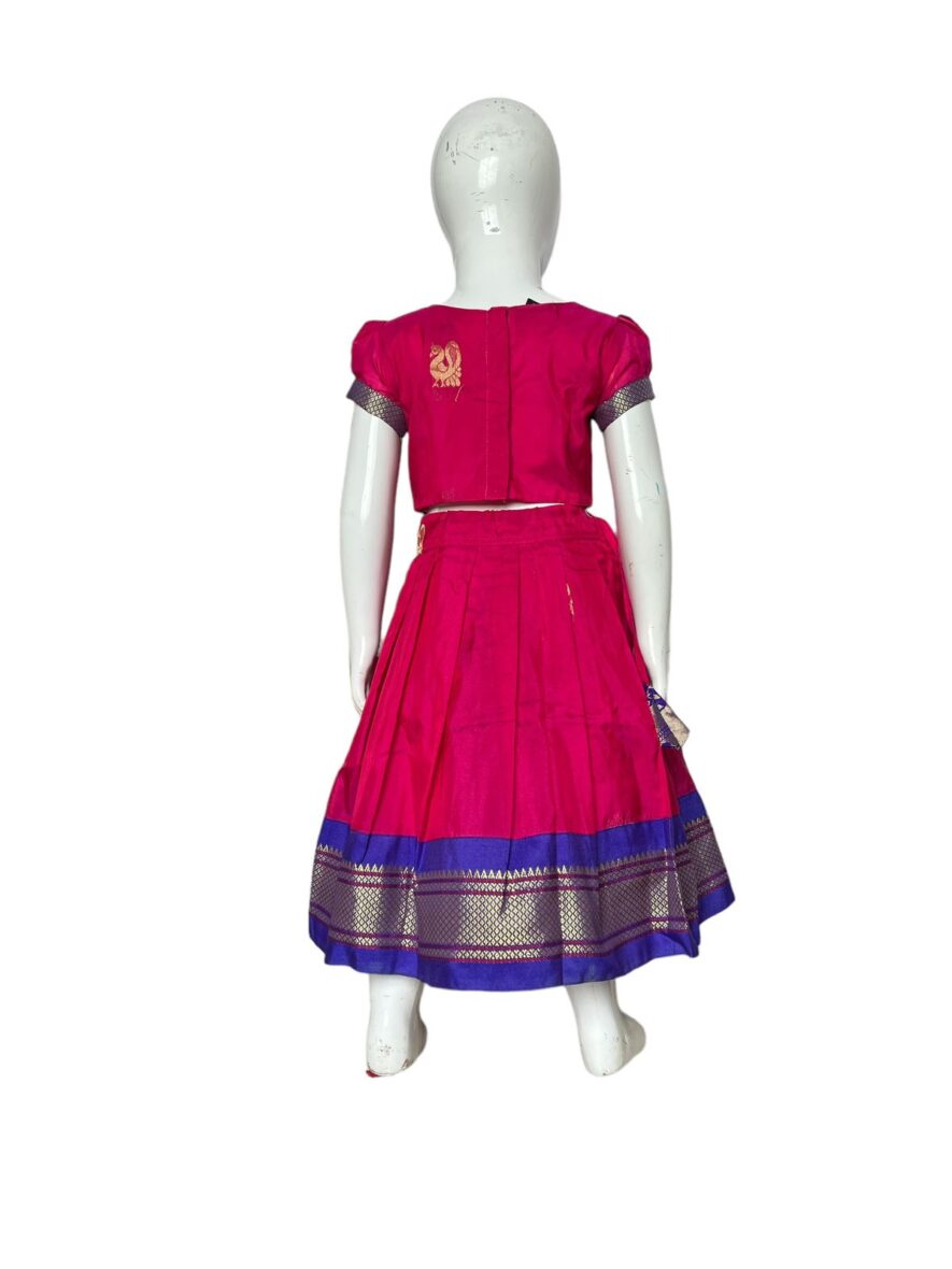 Ghagra-Choli-PinkBlue-2